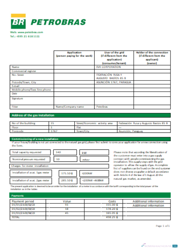 Petrobras Paraguay Operations and Logistics gas company utility business bill, SCR